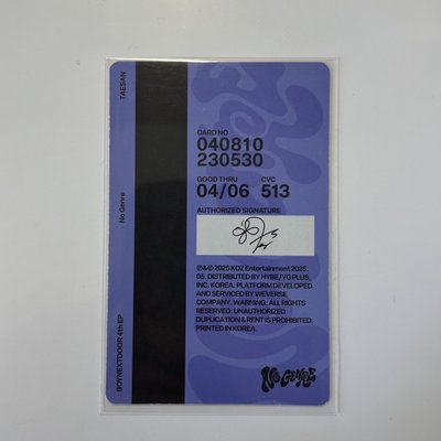 ［NO GENRE］電子專 專輯卡 泰山