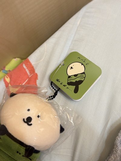 自嘲熊 水族館限定