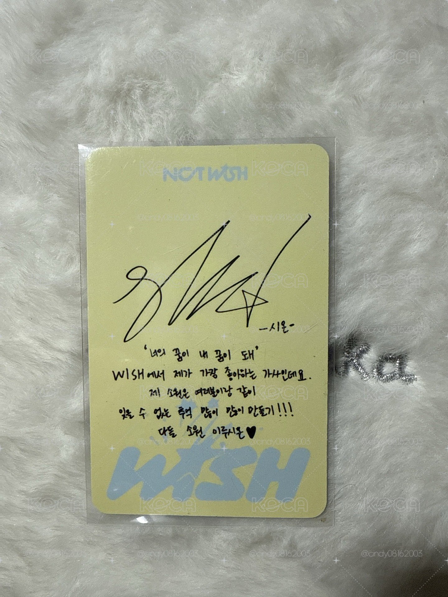 wish 專卡 Sion