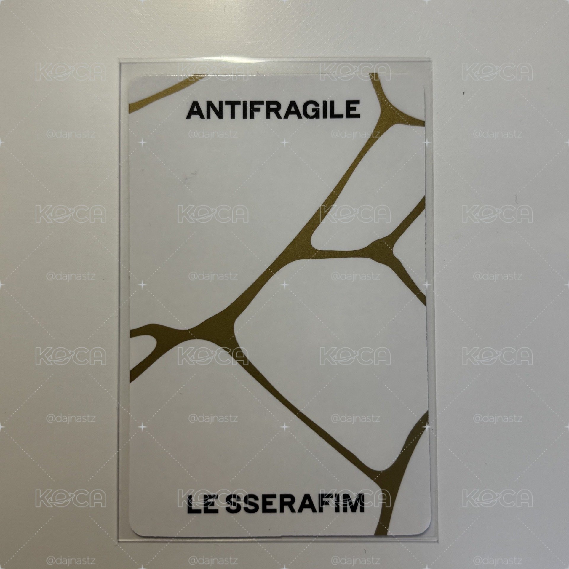 ［ANTIFRAGILE］專輯卡 采源