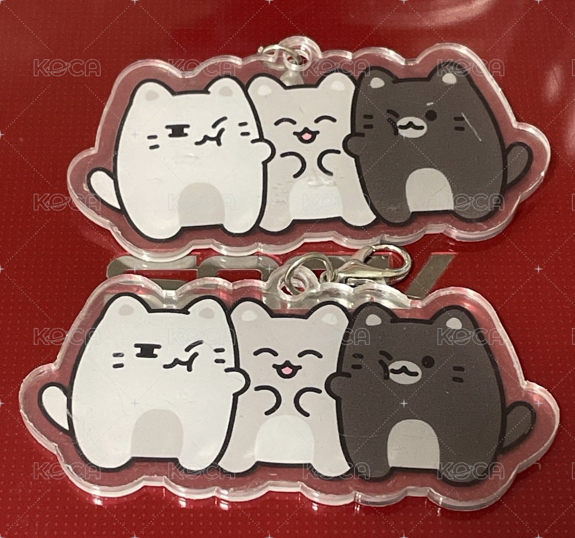 俊全身