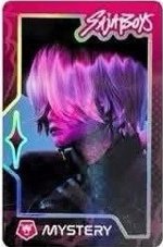 隨機照片小卡 隨機卡 閃卡