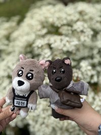 禾日雨木_im_starlyn