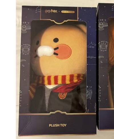 ⚡️SEVENTEEN Right Here 美巡 LD lucky draw 尹淨漢 小卡