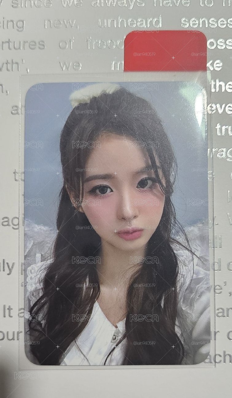 月光仙子薛