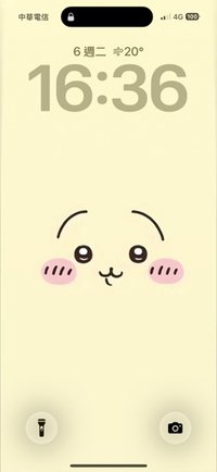 大毛