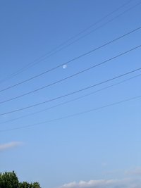 duan