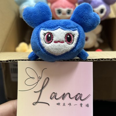 子瑜 23’ 五巡 髮夾 lovely髮夾