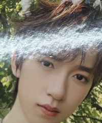 賀峻霖（眉毛處有廠損，對光可見）