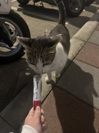 歪歪