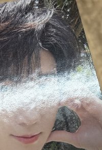 張真源（額角處有廠損，對光可見）