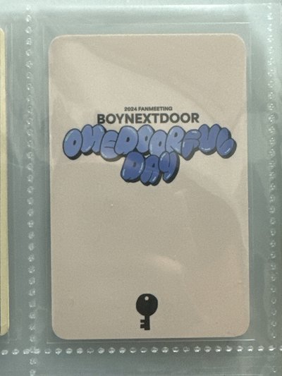 BND金雲鶴 24豌豆粽