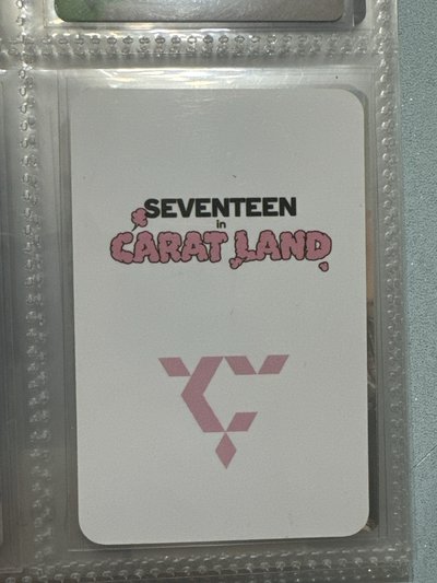 SVT 文俊輝 23克拉島粽卡
