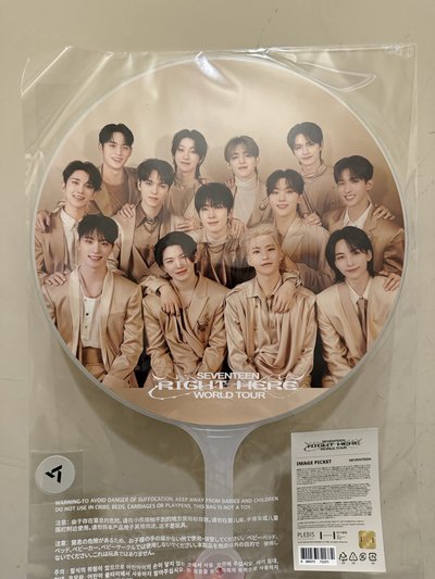 全新RIGHT HERE 扇子 高陽大扇 漢圓奎 團扇