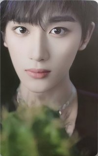 二專 2單封 專輯卡 