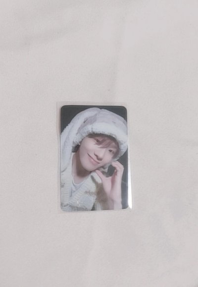 wvs西裝眼鏡 兔耳6盤