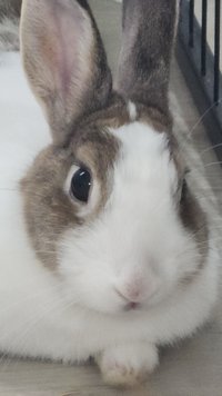 spoZQBORma0qOKco