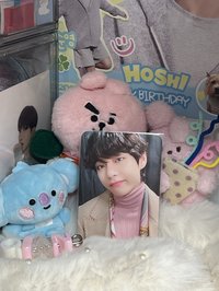 泰亨 特別版阿米棒小卡