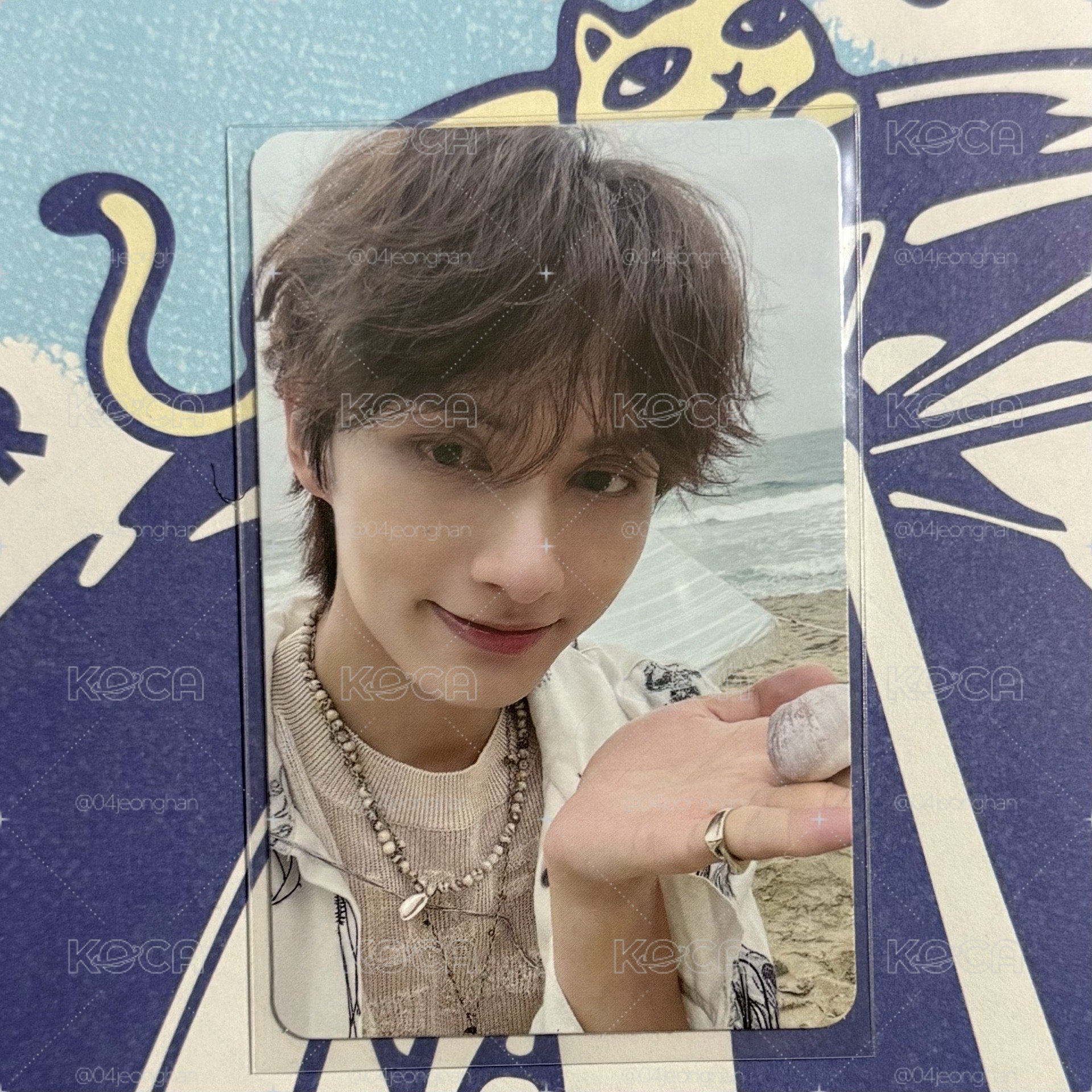 🐱俊 mini12專卡