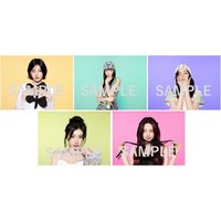 Collector JYP JAPAN 明信片 