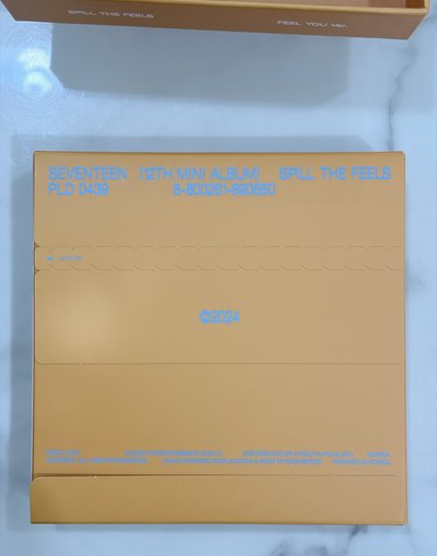 mini12/迷12 橘版feel you ver. 空專