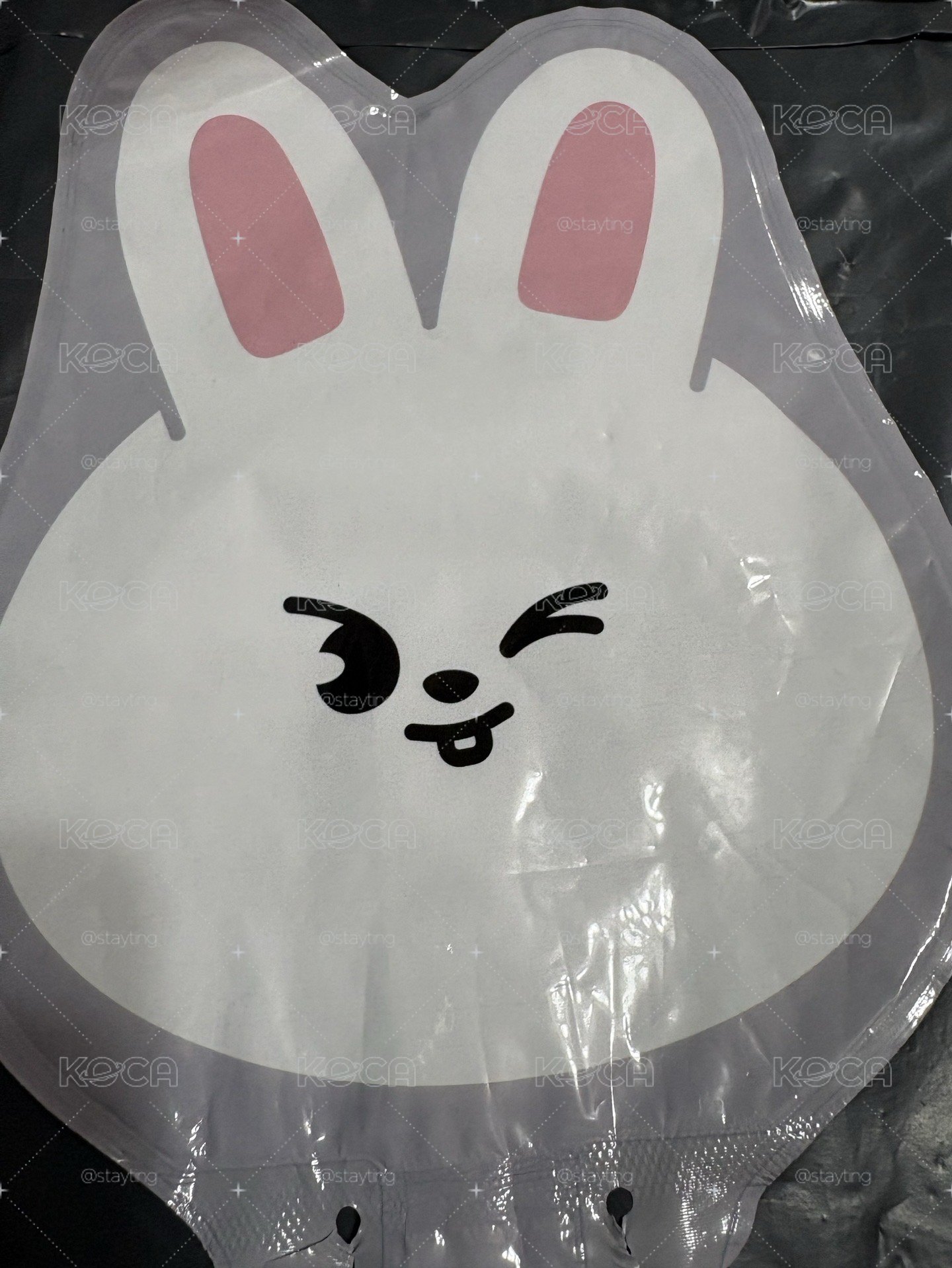 stray kids leebit 磁鐵及氣球