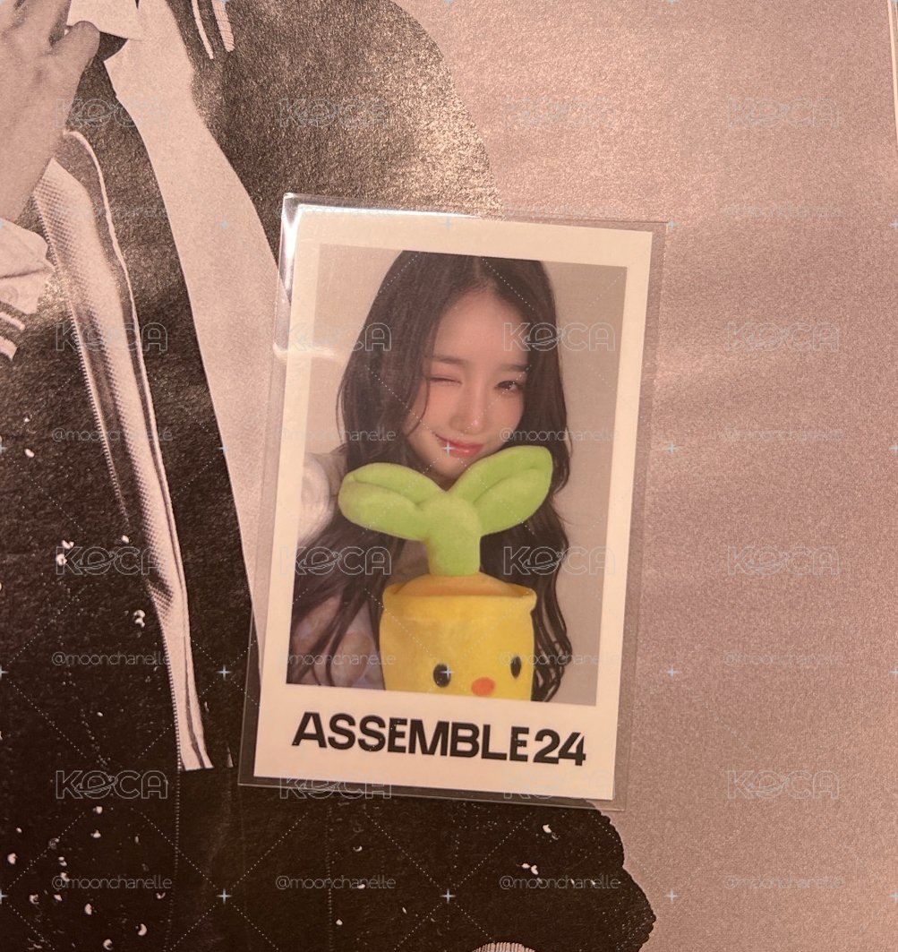 金琉然特典卡 FLNK