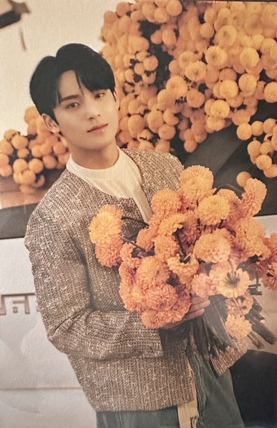 明信片/專輯小紙片區