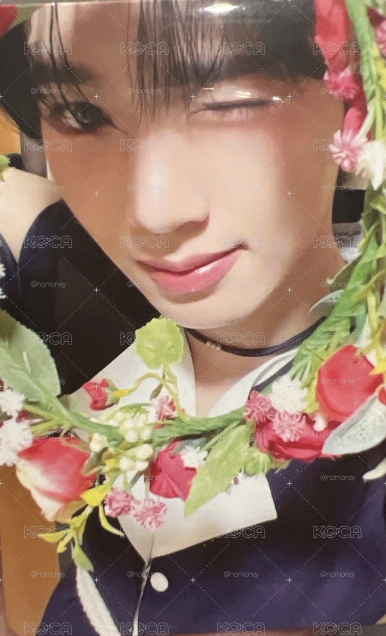  迷三花圈維辰