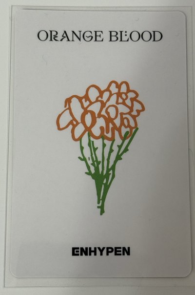 迷你五 yzy特典卡