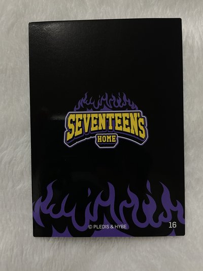 日卡-豪雨盤 順榮 知勳 卡包隨機卡