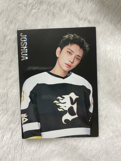 隨機小卡 知秀小盤 