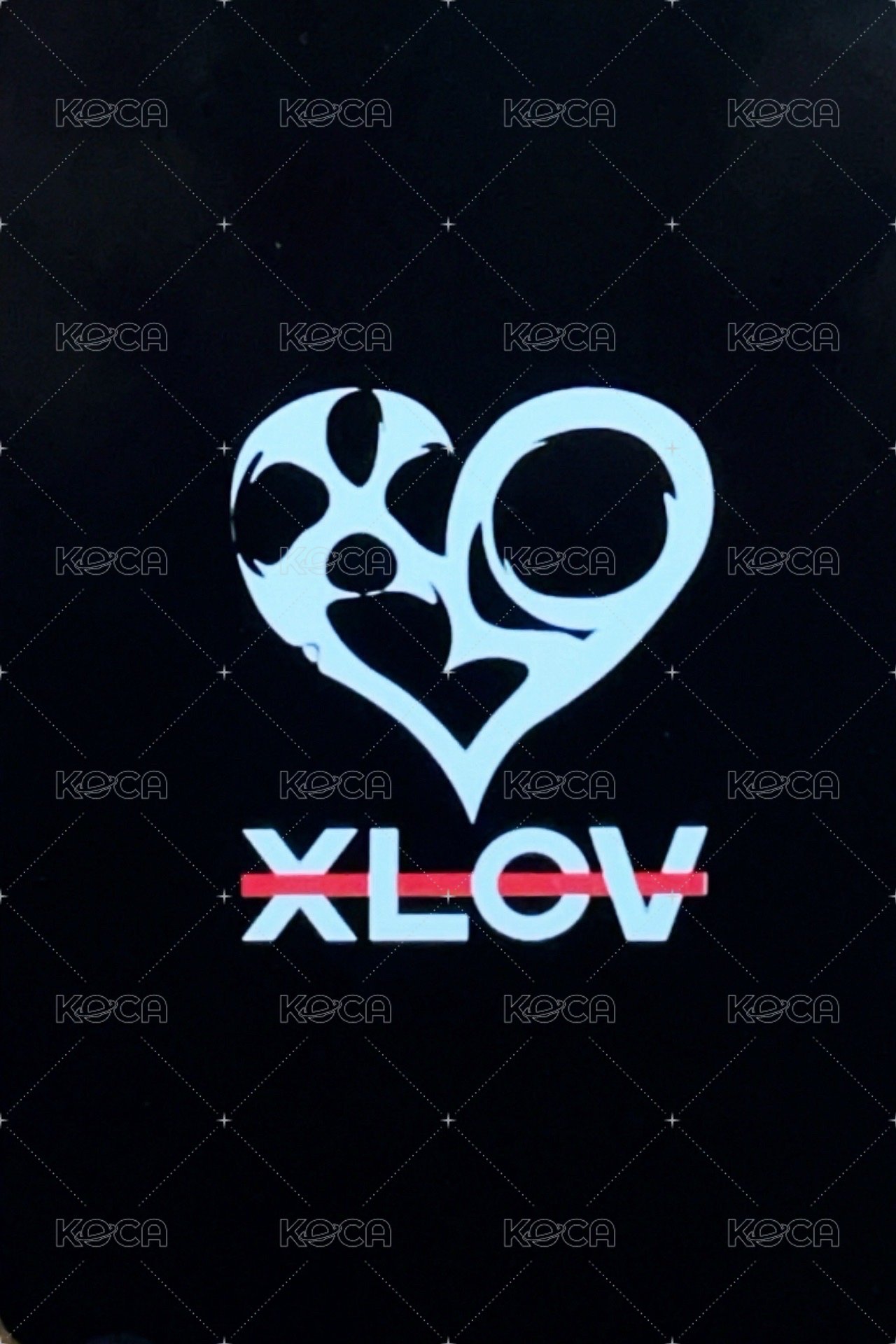 I’mma Be k4 線上1.0 簽售卡  背面