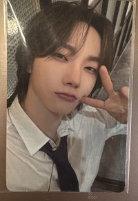 成淏19.99wvs預售卡