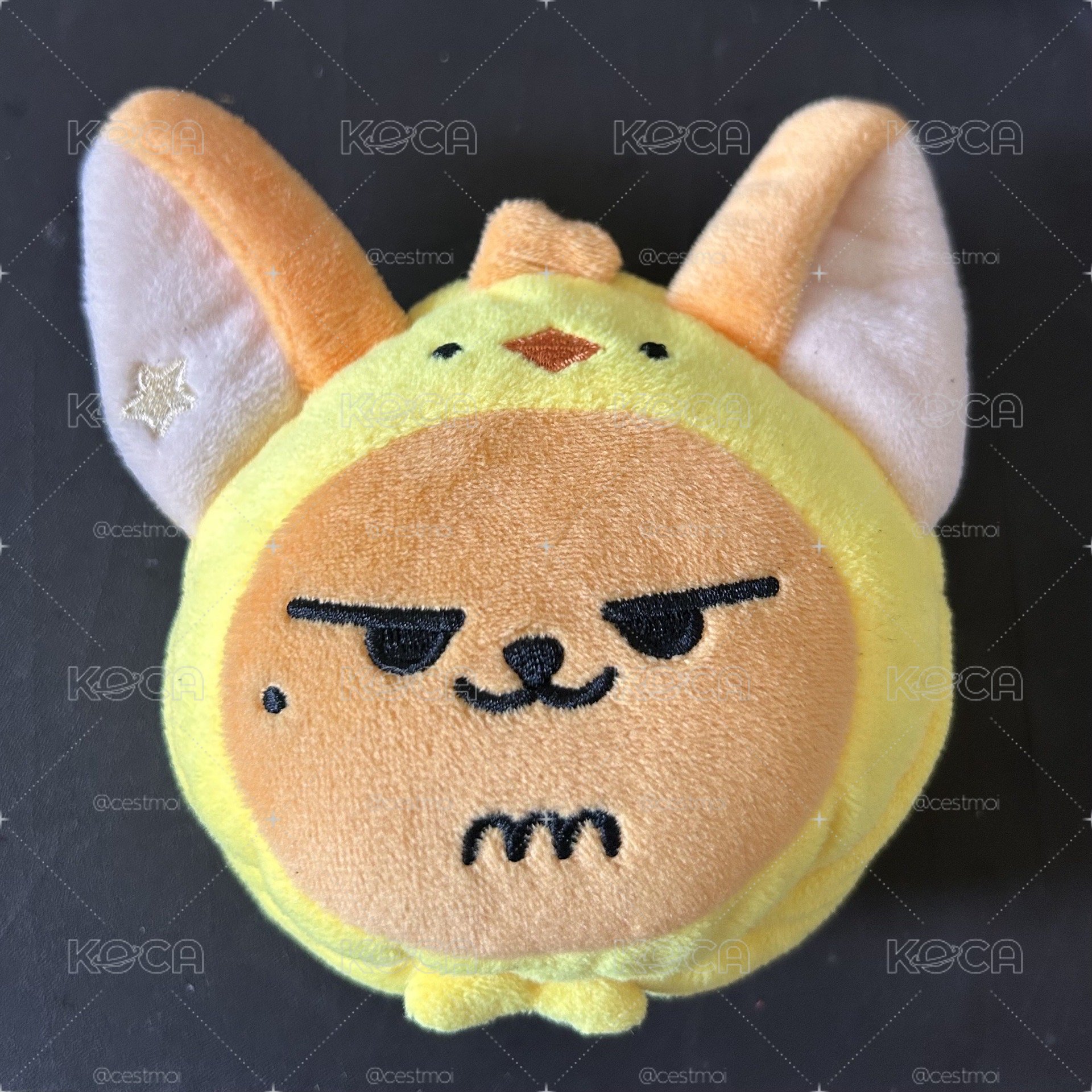 PPULBATU HWANGCHOON Coin Pouch 黃春零錢包