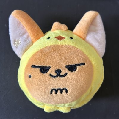 PPULBATU HWANGCHOON Coin Pouch 黃春零錢包