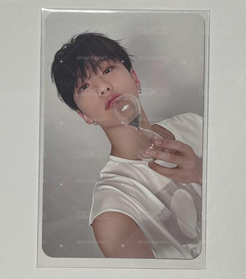 SEVENTEEN 權順榮專卡