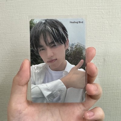 Healing Bird 代言卡 1.0
