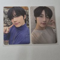 愛語專卡圭（兩張不拆）