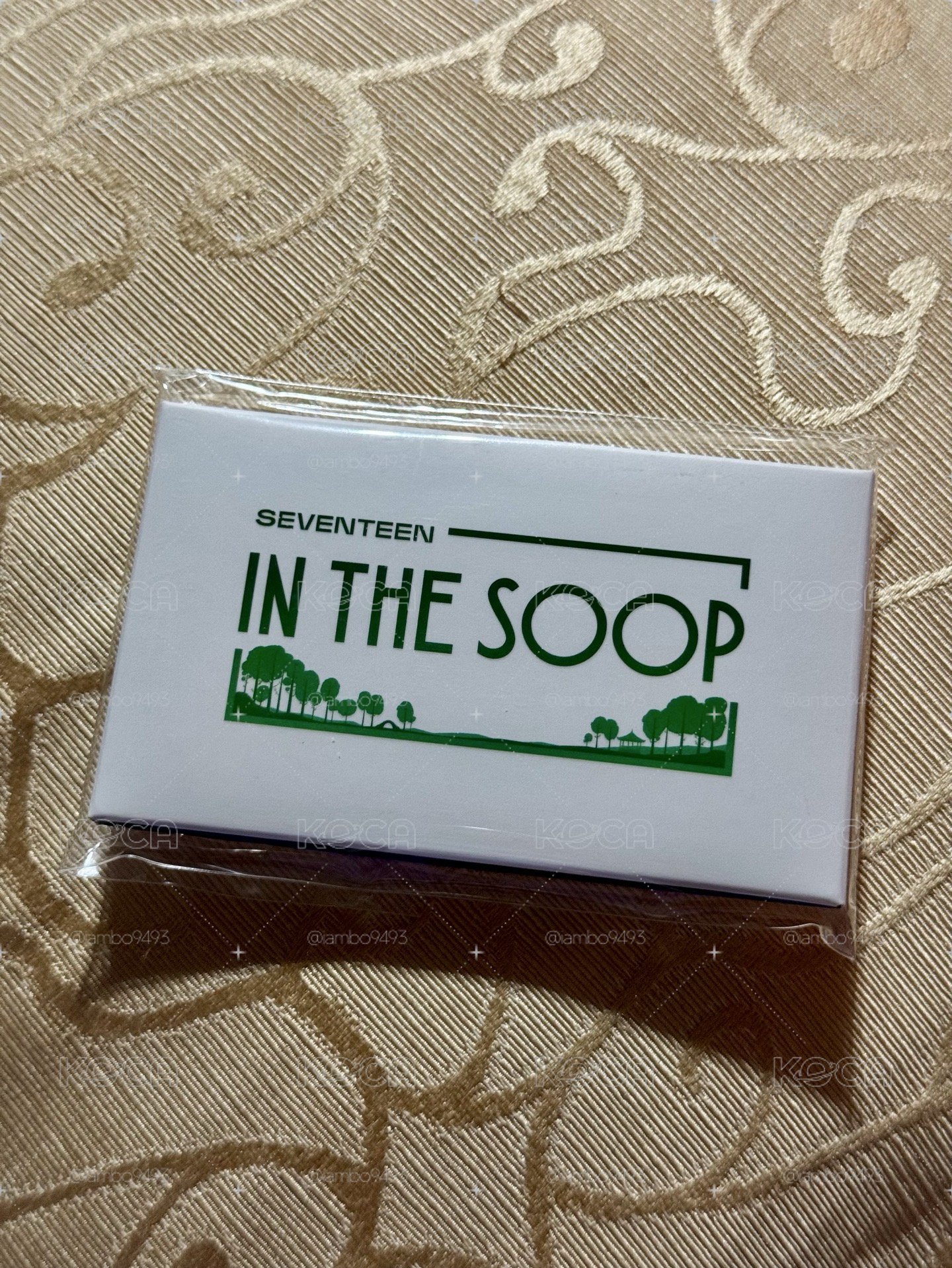 IN THE SOOP 1.0 整組小卡 需綁物