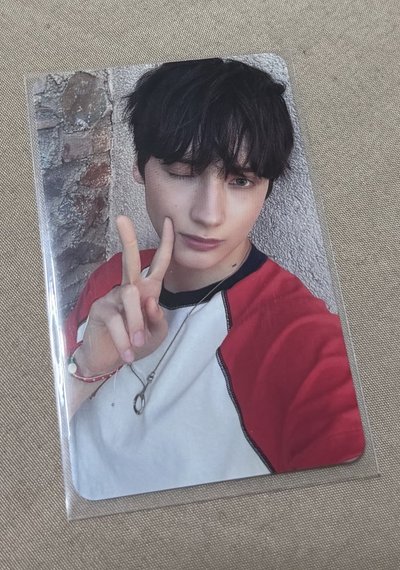 愛之語日咖/專卡寧🐧✌🏻（合賣）