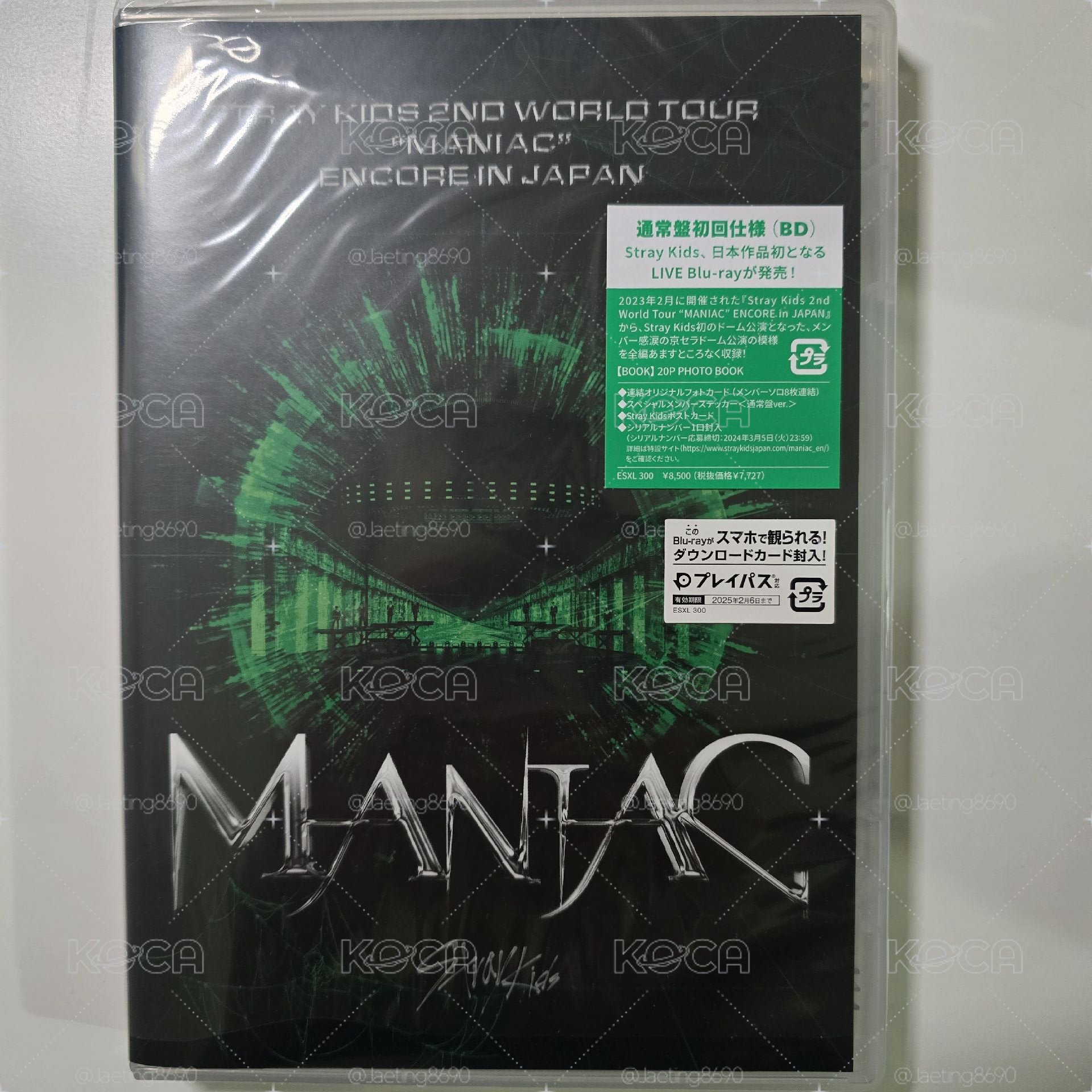 Stray Kids MANIAC 日巡DVD通常盤 完整組