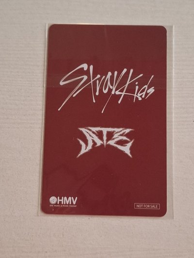 Straykids ATE HMV 自拍卡 特典