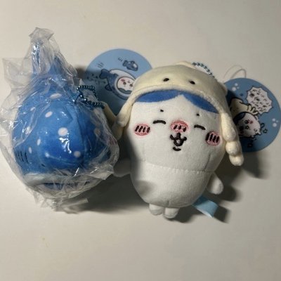 水族館 鯨鯊小八 魷魚小八