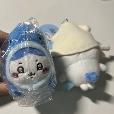 水族館 鯨鯊小八 魷魚小八