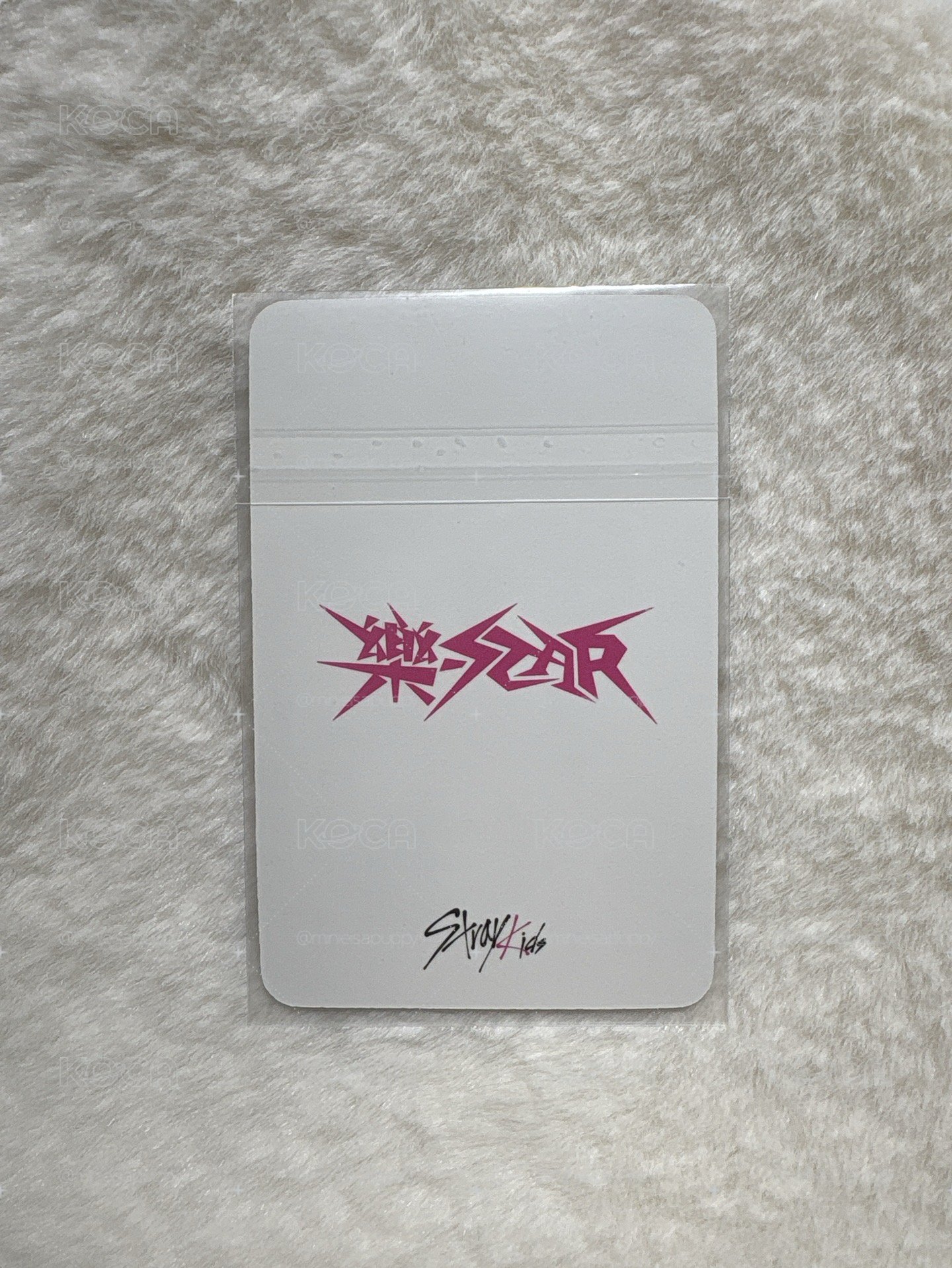樂星 mk 特典玟