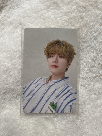 5星蛋巡 番茄玟