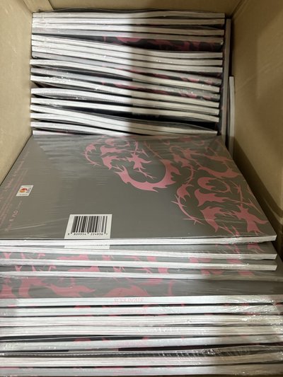 stray kids DO IT IT ver. Do it 普版