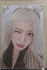 黃版專卡 栗 💚