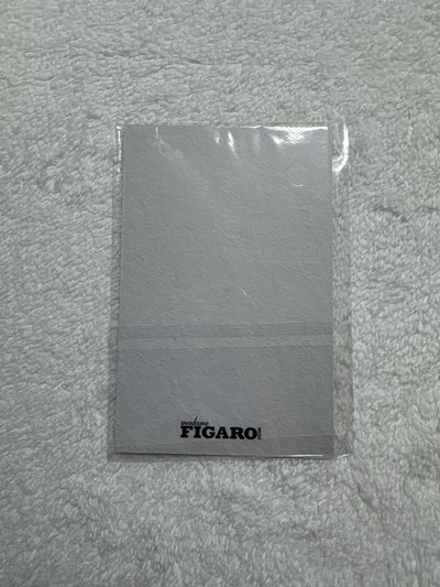 泰山費加洛雜誌拍立得